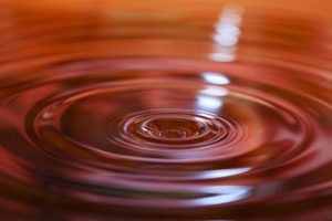 SAP's Qualtircs acquisition ripples