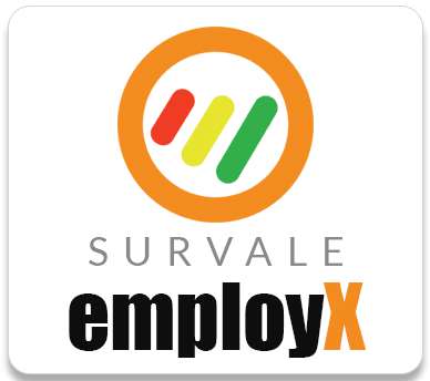 Employee Experience Surveys