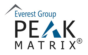 Everest Group Peak Matrix